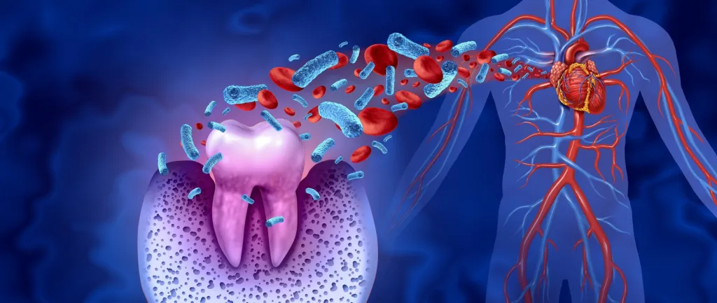 animation of dental bacteria and the human body
