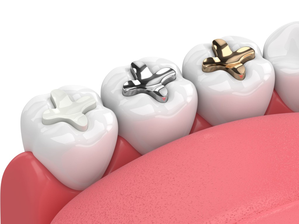 3d render jaw teeth three types